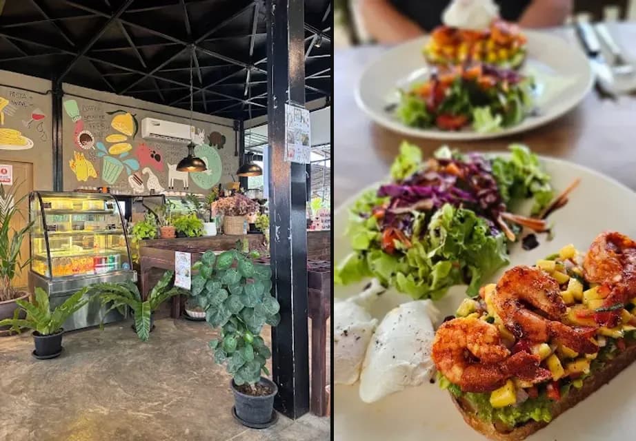Parrotdise Organic Farm & Cafe, organic farm café in Hua Hin